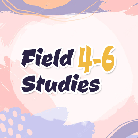 Field Studies 4-6 (Participation and Teaching Assistantship)