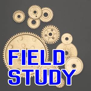 Field Study 2 Participation and Teaching Assistantship